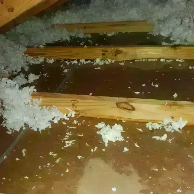 Attic Water Damage in Eastgate, WA